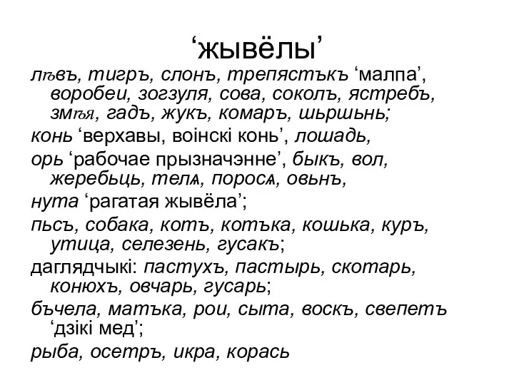 ‘жывёлы’ лѣвъ, тигръ, слонъ, трепястъкъ ‘малпа’, воробеи, зогзуля, сова, соколъ, ястребъ,