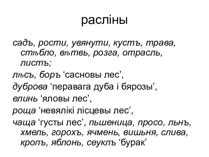 расліны садъ, рости, увянути, кустъ, трава, стѣбло, вѣтвь, розга, отрасль, листъ;