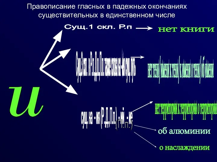 Правописание гласных в падежных окончаниях существительных в единственном числе u Сущ.1