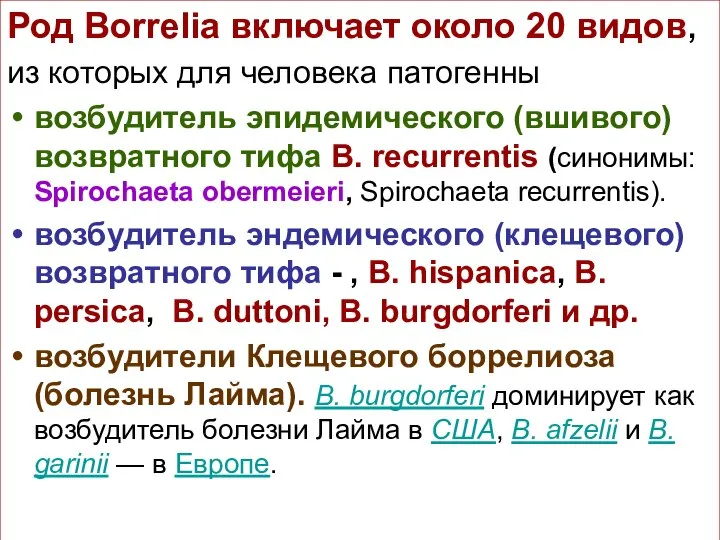 Род Borrelia включает около 20 видов, из которых для человека патогенны