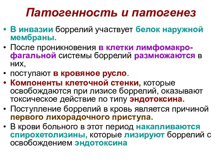 Патогенность и патогенез В инвазии боррелий участвует белок наружной мембраны. После