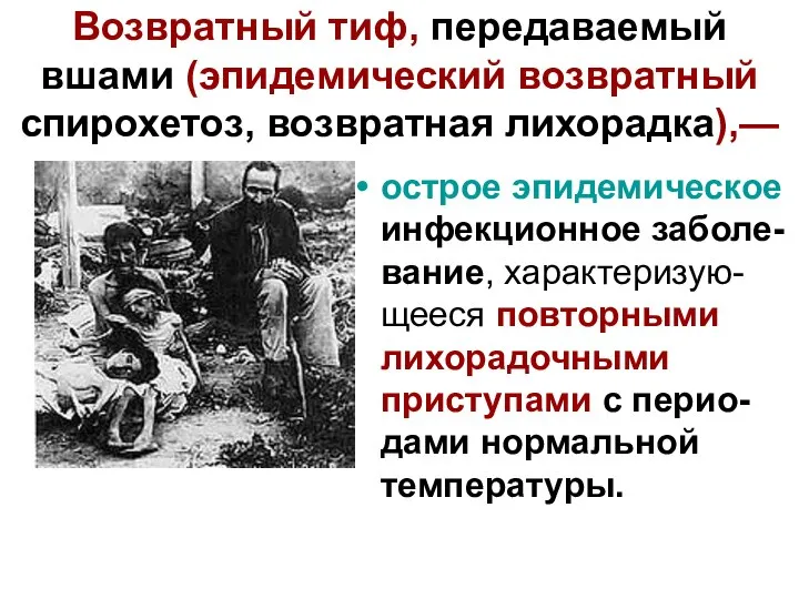 Возвратный тиф, передаваемый вшами (эпидемический возвратный спирохетоз, возвратная лихорадка),— острое эпидемическое