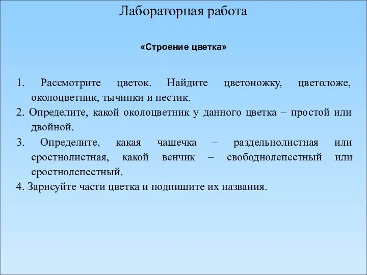 Лабораторная работа 1. Рассмотрите цветок. Найдите цветоножку, цветоложе, околоцветник, тычинки и