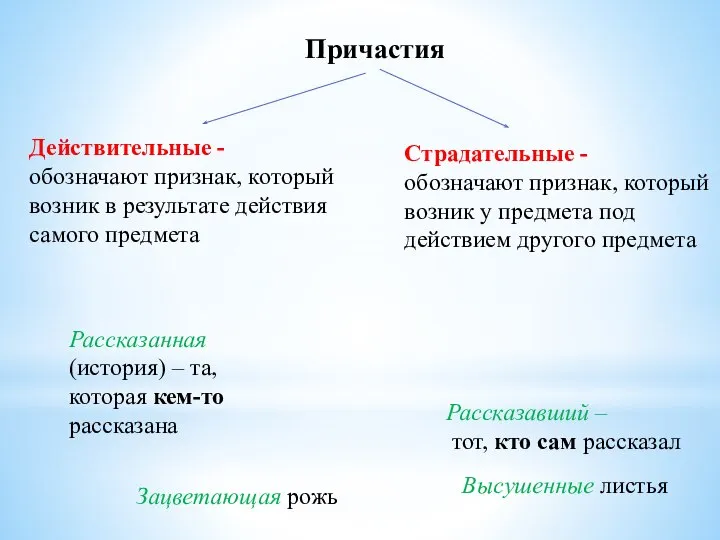 Причастия Действительные - обозначают признак, который возник в результате действия самого