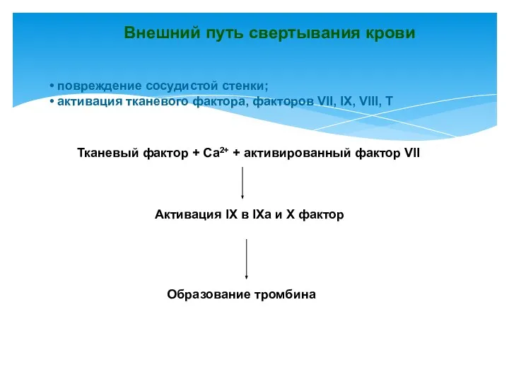 Внешний путь свертывания крови повреждение сосудистой стенки; активация тканевого фактора, факторов