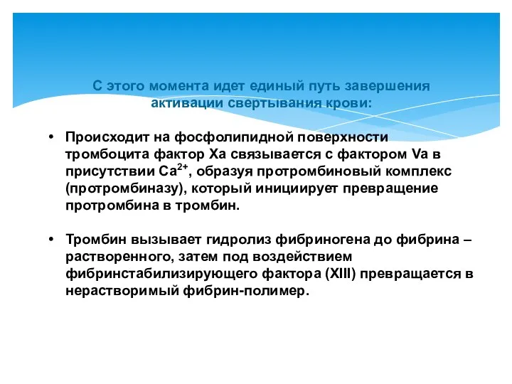 С этого момента идет единый путь завершения активации свертывания крови: Происходит