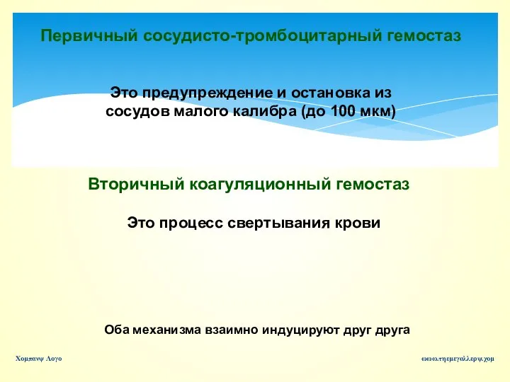 ωωω.τηεμεγαλλερψ.χομ Χομπανψ Λογο Первичный сосудисто-тромбоцитарный гемостаз Это предупреждение и остановка из