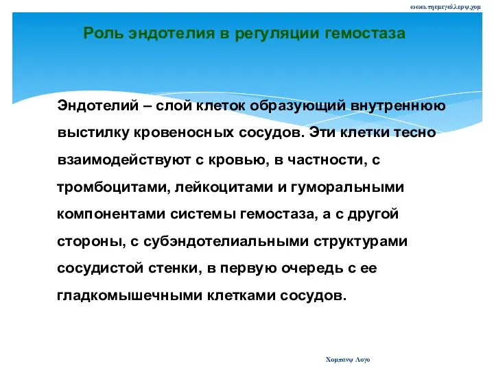 ωωω.τηεμεγαλλερψ.χομ Χομπανψ Λογο Роль эндотелия в регуляции гемостаза Эндотелий – слой