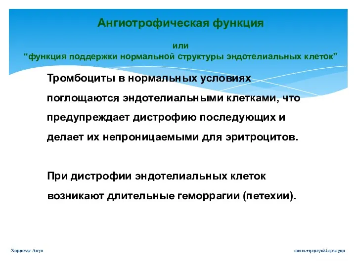 ωωω.τηεμεγαλλερψ.χομ Χομπανψ Λογο Ангиотрофическая функция или “функция поддержки нормальной структуры эндотелиальных