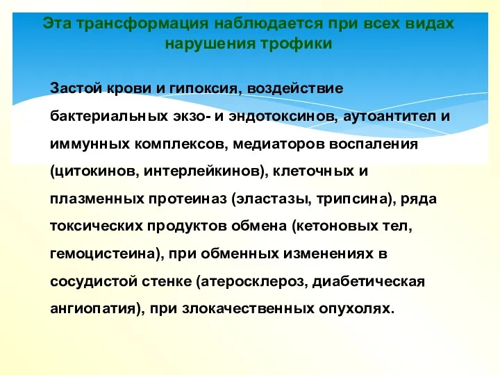 Эта трансформация наблюдается при всех видах нарушения трофики Застой крови и