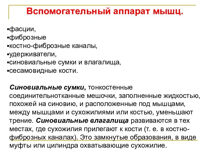 Вспомогательный аппарат мышц. фасции, фиброзные костно-фиброзные каналы, удерживатели, синовиальные сумки и