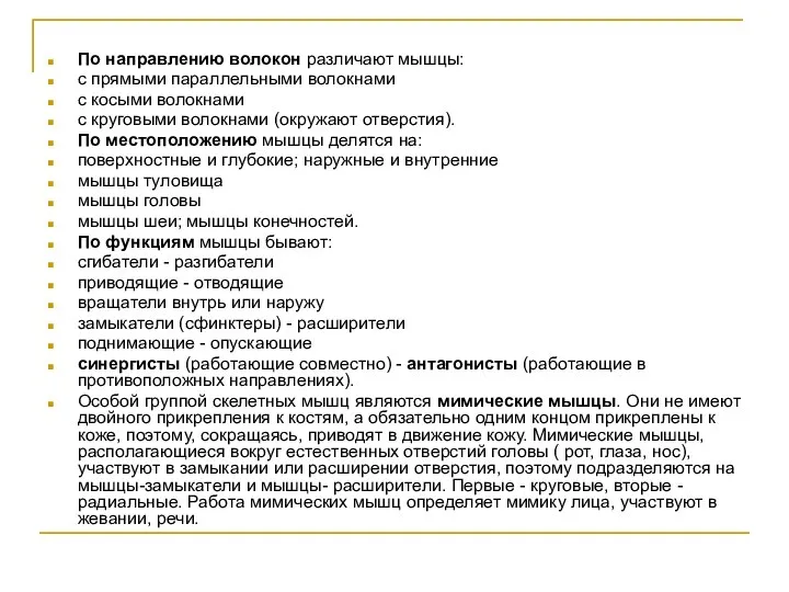 По направлению волокон различают мышцы: с прямыми параллельными волокнами с косыми