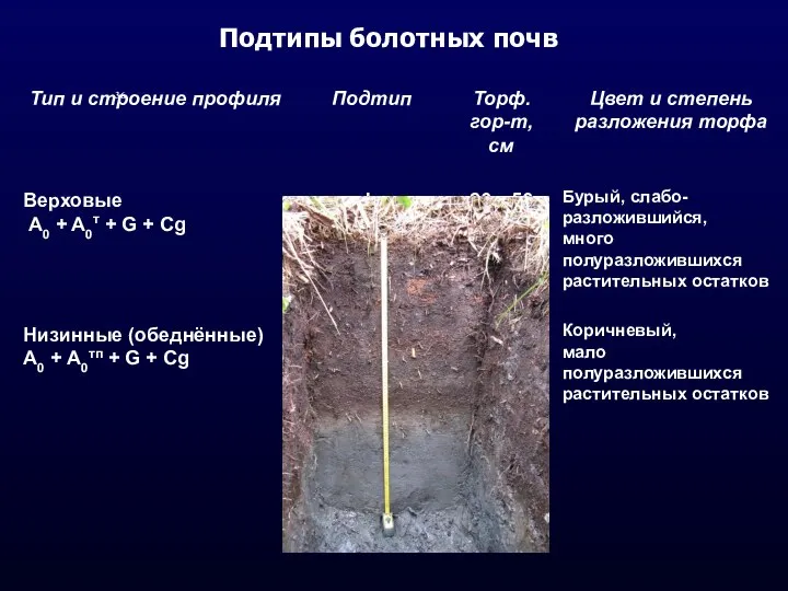 Подтипы болотных почв 36.