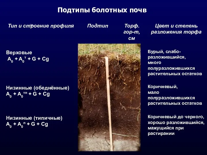 Подтипы болотных почв 36.