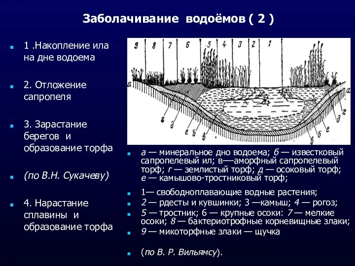 Заболачивание водоёмов ( 2 ) а — минеральное дно водоема; б