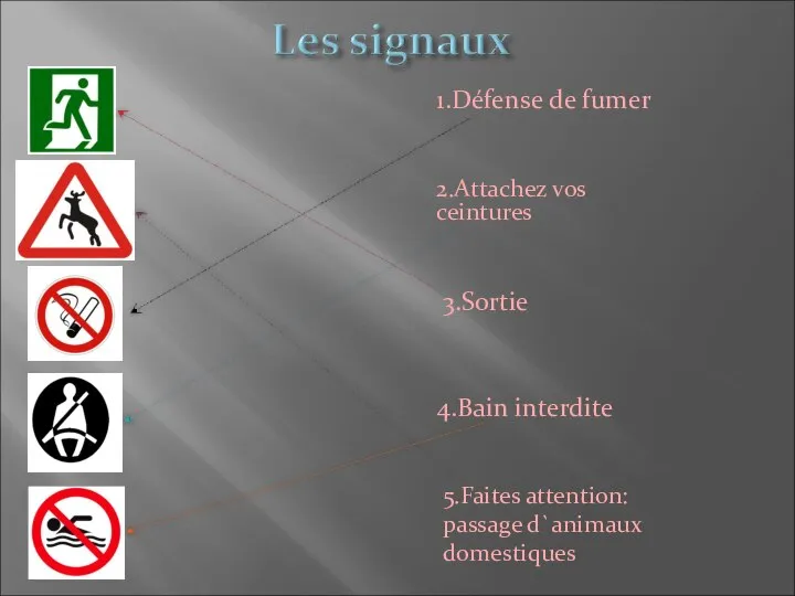 2.Attachez vos ceintures 5.Faites attention: passage d`animaux domestiques 3.Sortie 4.Bain interdite 1.Défense de fumer