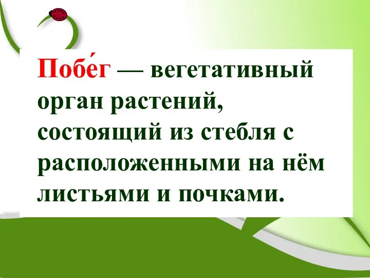 Побе́г — вегетативный орган растений, состоящий из стебля с расположенными на нём листьями и почками.