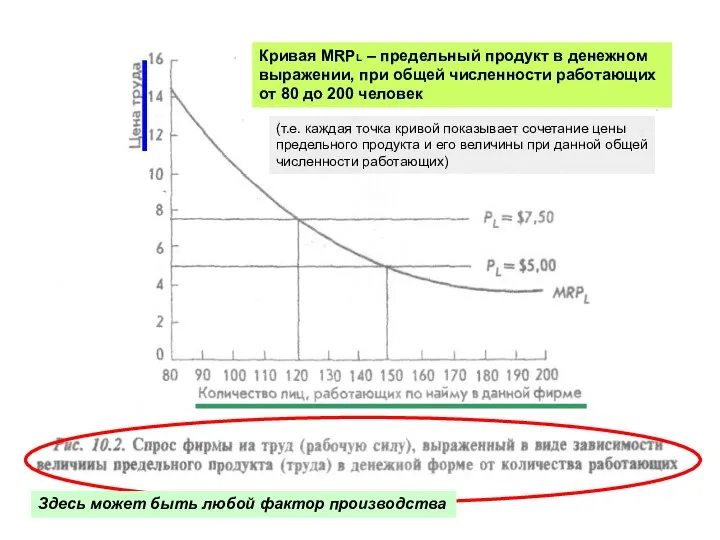 Здесь может быть любой фактор производства Кривая MRPL – предельный продукт