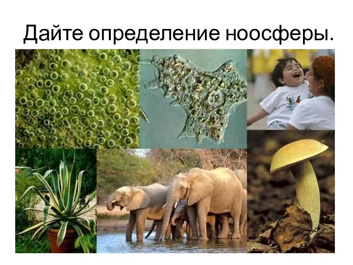 Дайте определение ноосферы.