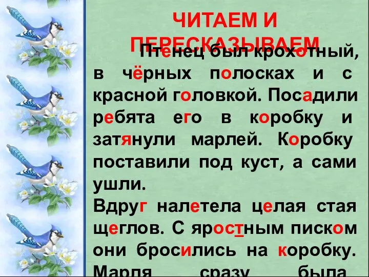 ЧИТАЕМ И ПЕРЕСКАЗЫВАЕМ Птенец был крохотный, в чёрных полосках и с