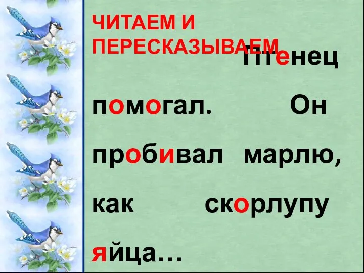 Птенец помогал. Он пробивал марлю, как скорлупу яйца… ЧИТАЕМ И ПЕРЕСКАЗЫВАЕМ