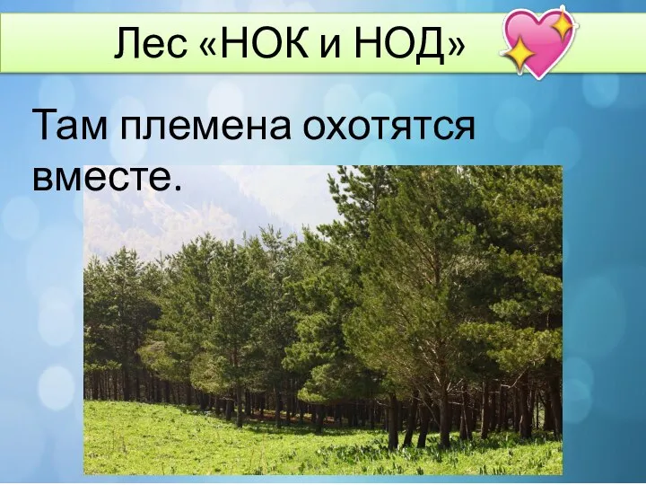 Лес «НОК и НОД» Там племена охотятся вместе.