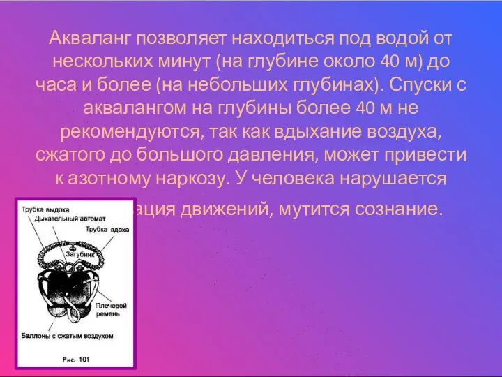 Акваланг позволяет находиться под водой от нескольких минут (на глубине около