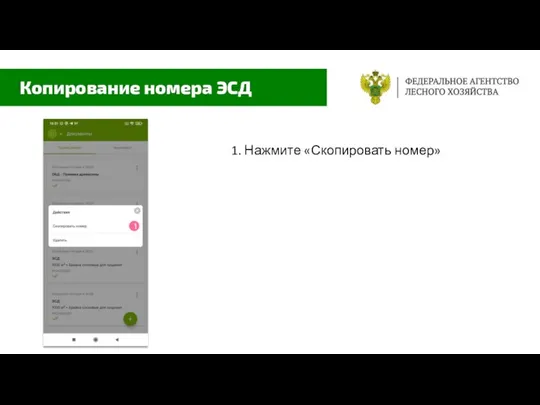 1. Нажмите «Скопировать номер» Копирование номера ЭСД 1