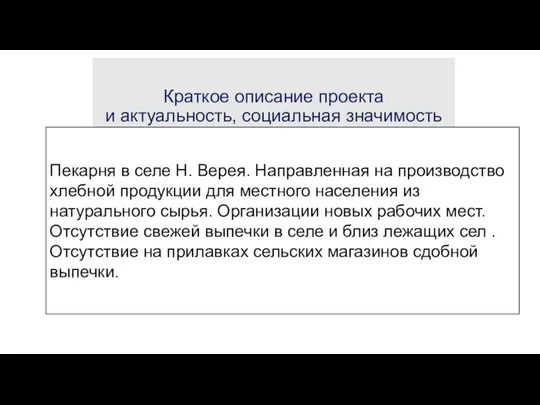 Краткое описание проекта и актуальность, социальная значимость Пекарня в селе Н.