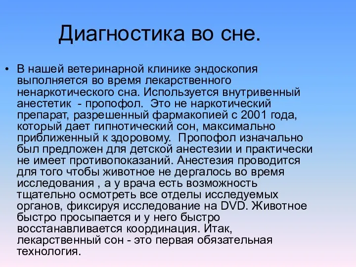 Диагностика во сне. В нашей ветеринарной клинике эндоскопия выполняется во время