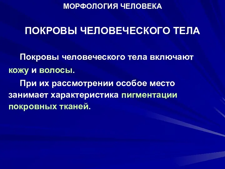 МОРФОЛОГИЯ ЧЕЛОВЕКА ПОКРОВЫ ЧЕЛОВЕЧЕСКОГО ТЕЛА Покровы человеческого тела включают кожу и