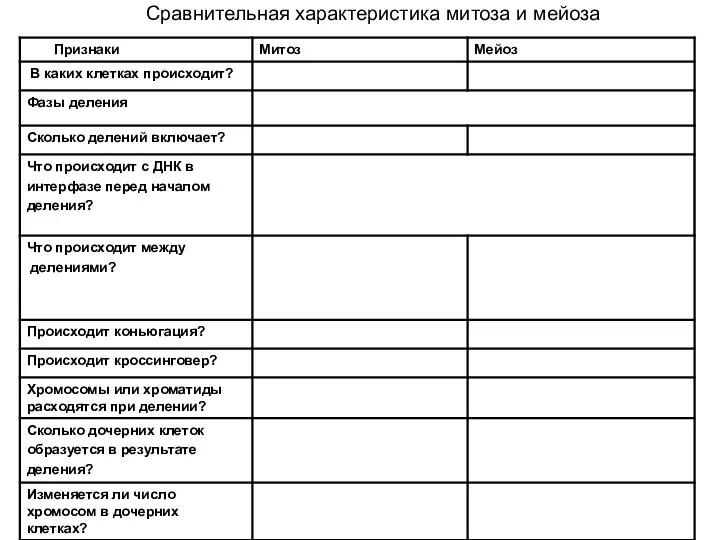 Сравнительная характеристика митоза и мейоза