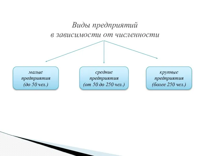 Виды предприятий в зависимости от численности малые предприятия (до 50 чел.)