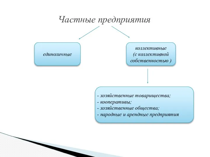 Частные предприятия коллективные (с коллективной собственностью ) единоличные хозяйственные товарищества; кооперативы;