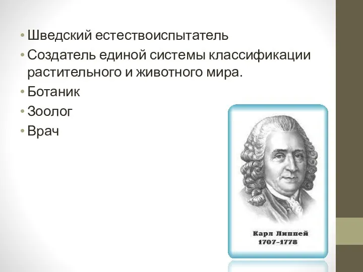 Шведский естествоиспытатель Создатель единой системы классификации растительного и животного мира. Ботаник Зоолог Врач