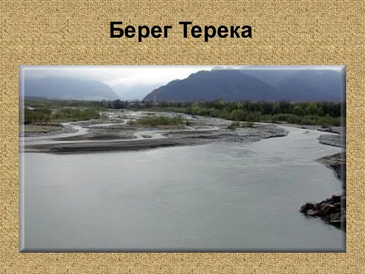 Берег Терека