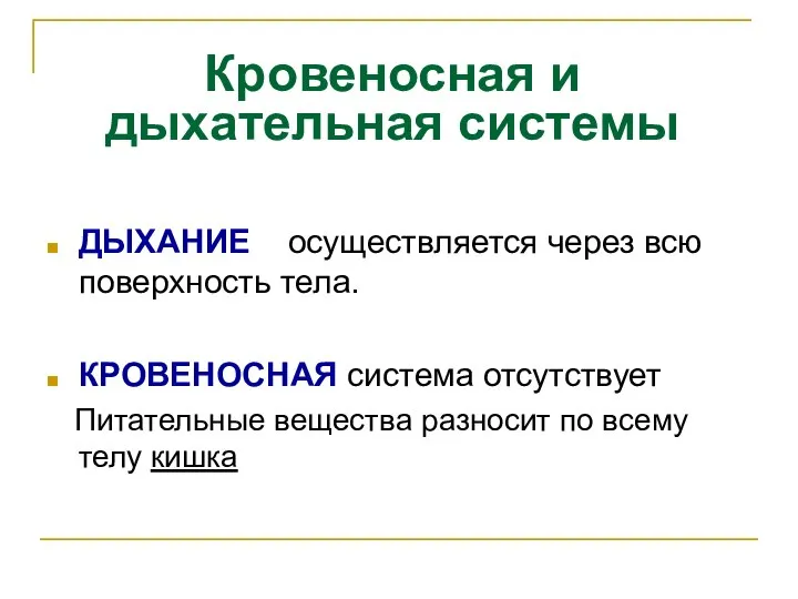 Кровеносная и дыхательная системы ДЫХАНИЕ осуществляется через всю поверхность тела. КРОВЕНОСНАЯ