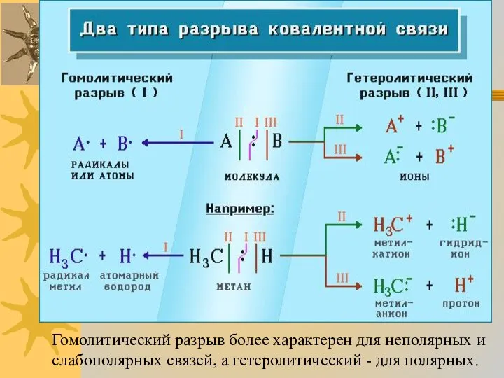 Гомолитический разрыв более характерен для неполярных и слабополярных связей, а гетеролитический - для полярных.