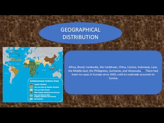 Geographical distribution Africa, Brazil, Cambodia, the Caribbean, China, Corsica, Indonesia, Laos,