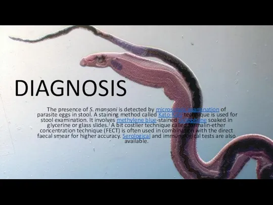 DIAGNOSIS The presence of S. mansoni is detected by microscopic examination