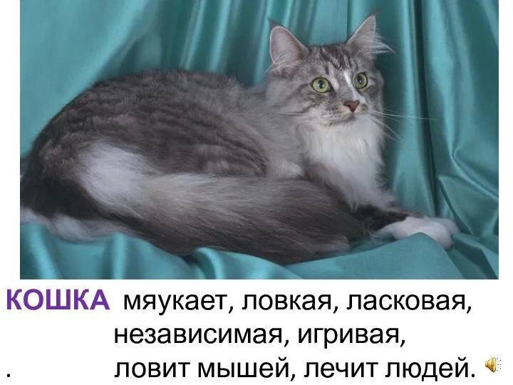 КОШКА мяукает, ловкая, ласковая, независимая, игривая, . ловит мышей, лечит людей.