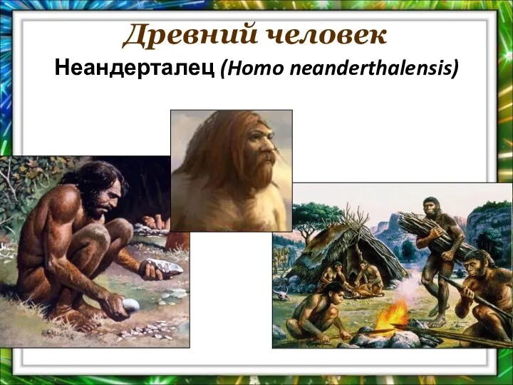 Древний человек Неандерталец (Homo neanderthalensis)