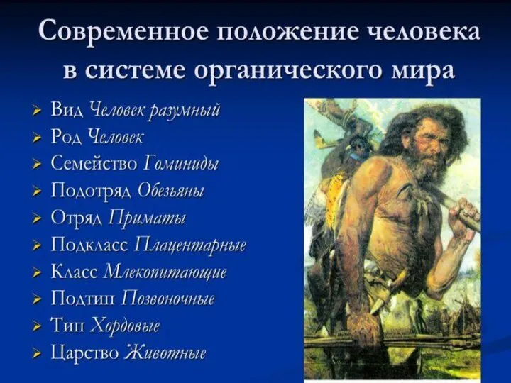 Новый (современный) человек Человек разумный (Homo sapiens) Современный Человек разумный