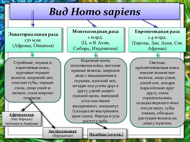 Экваториальная раса 170 млн. (Африка, Океания) Европеоидная раса 1,4 млрд. (Европа,