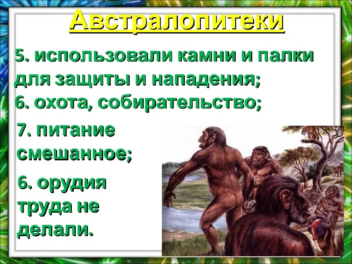 Австралопитеки 5. использовали камни и палки для защиты и нападения; 6.