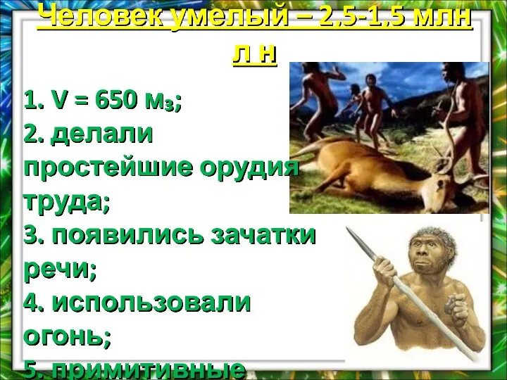 Человек умелый – 2,5-1,5 млн л н 1. V = 650