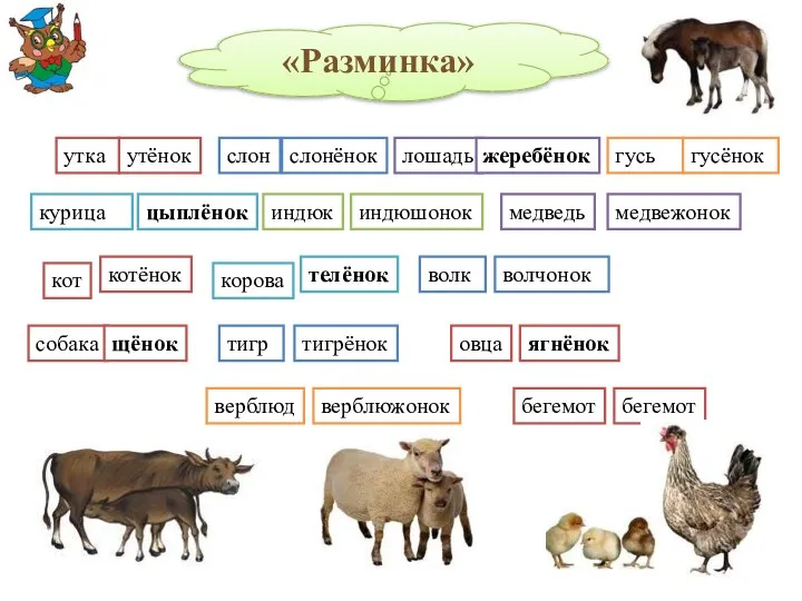 «Разминка» утка утёнок слон слонёнок лошадь жеребёнок гусь гусёнок индюк индюшонок