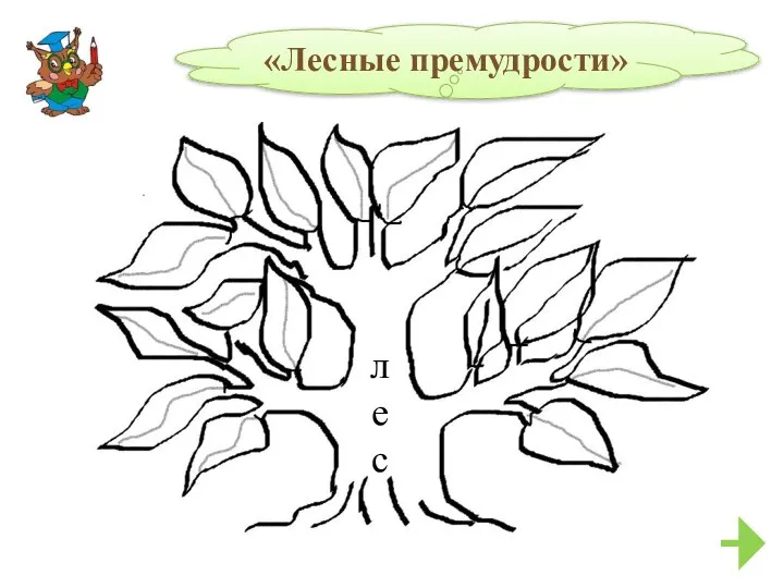 «Лесные премудрости» лес