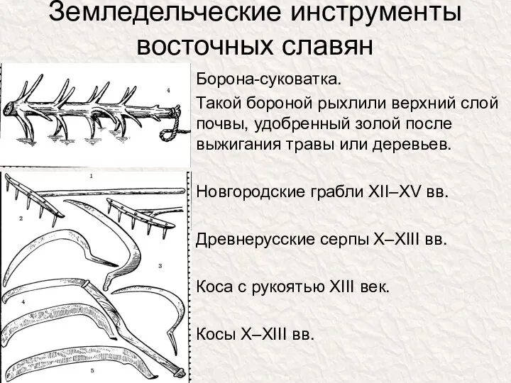 Земледельческие инструменты восточных славян Борона-суковатка. Такой бороной рыхлили верхний слой почвы,