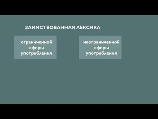 ЗАИМСТВОВАННАЯ ЛЕКСИКА ограниченной сферы употребления неограниченной сферы употребления